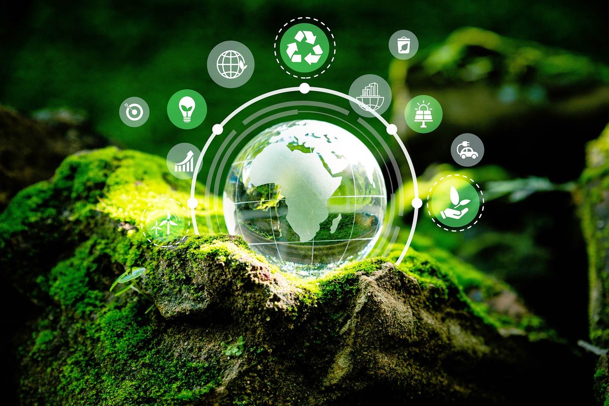 Digital Ecosystem
